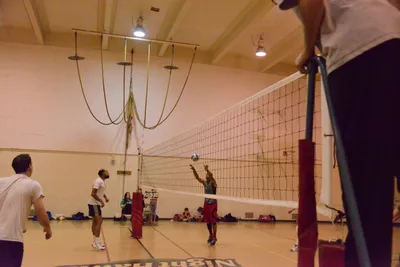 DSC_1778 (Large).JPG